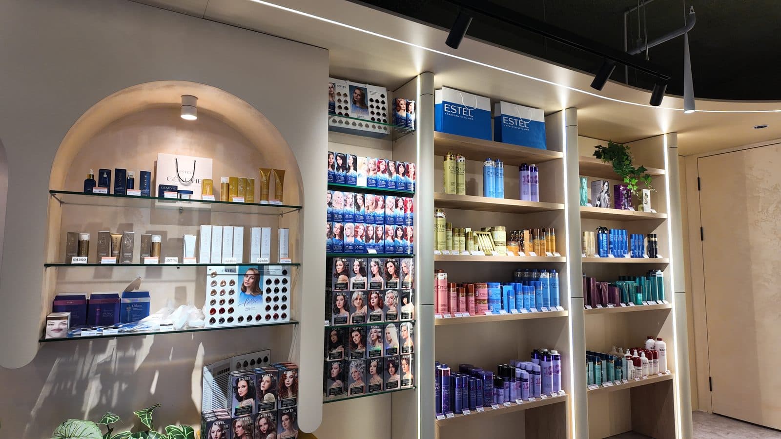 BRANDED STORE CONCEPT
